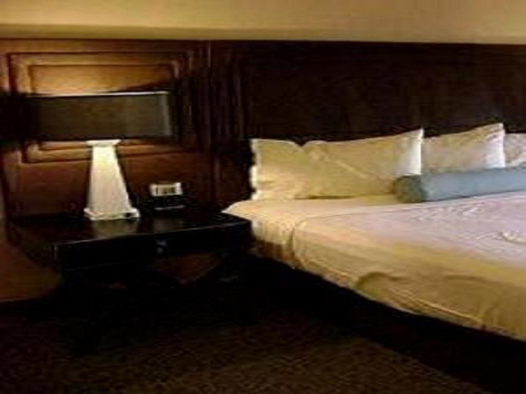 Hotel Sagar Castle Ratlām Pokój zdjęcie